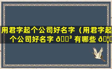 用君字起个公司好名字（用君字起个公司好名字 🌳 有哪些 🦆 ）